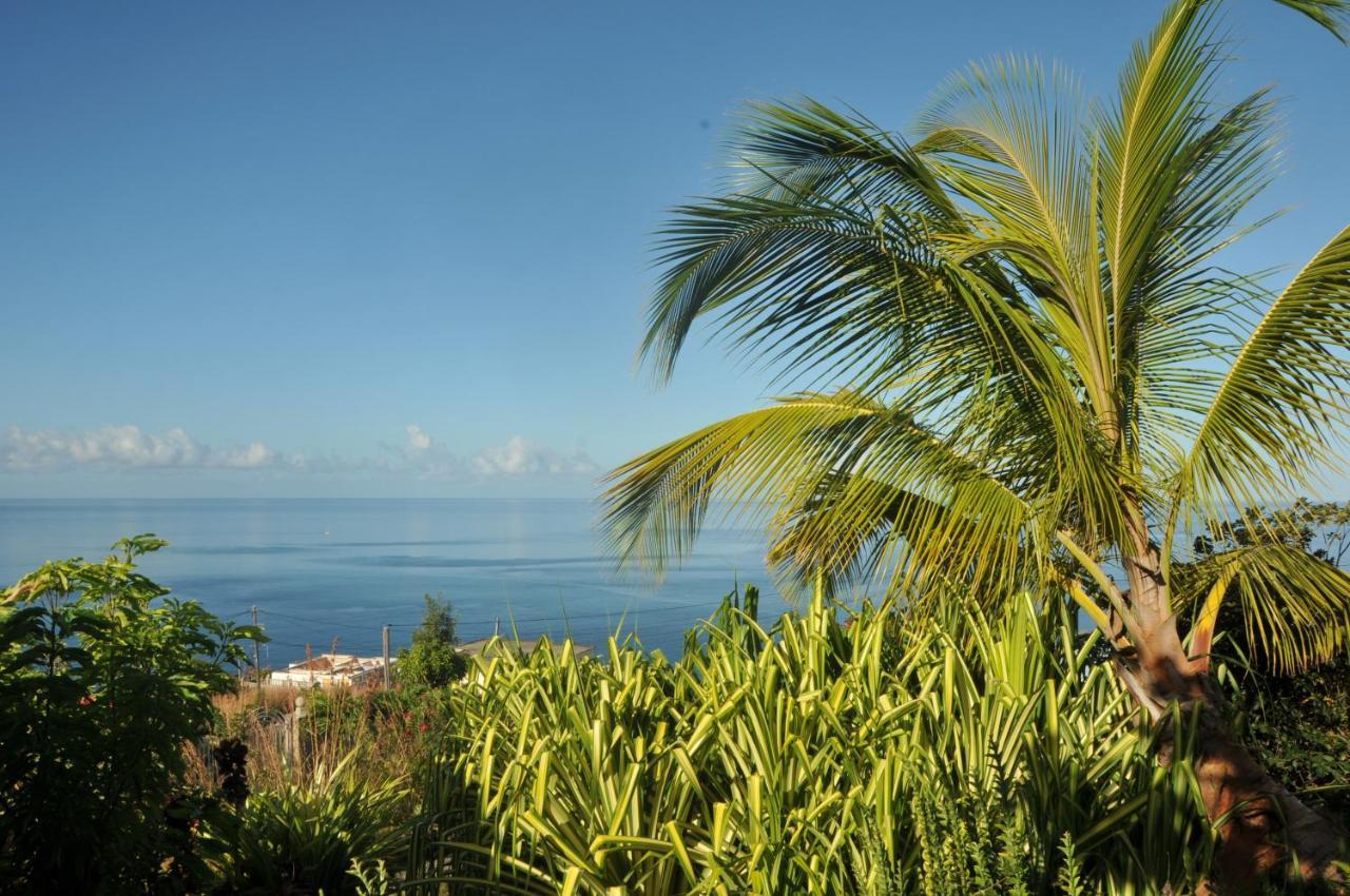Mango Island Lodges Saint Joseph Экстерьер фото